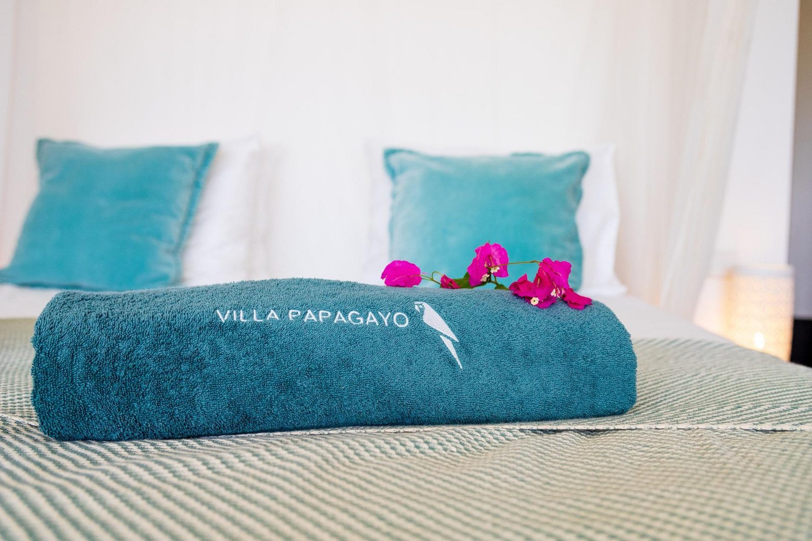 Villa Papagayo