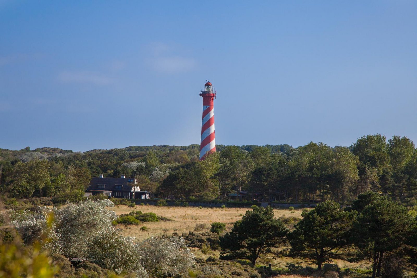 Holidayhome - De Haaijmanweg 5 | Burgh Haamstede 'Huisje 86'