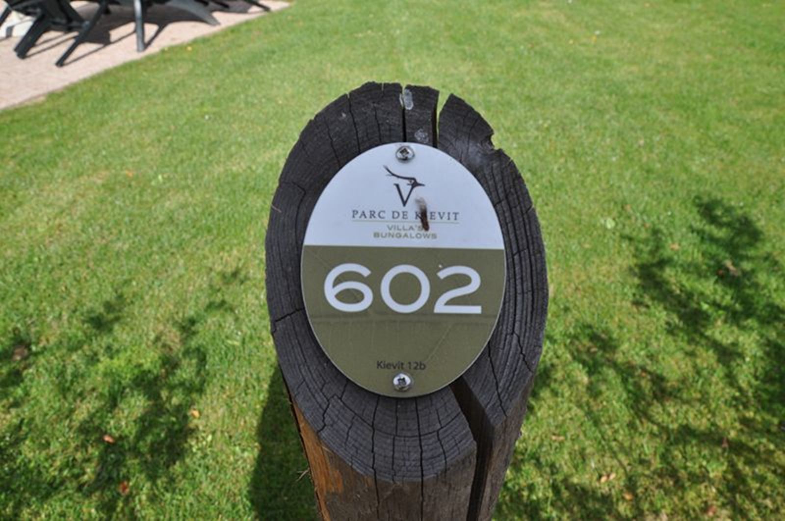 Goudvink 602