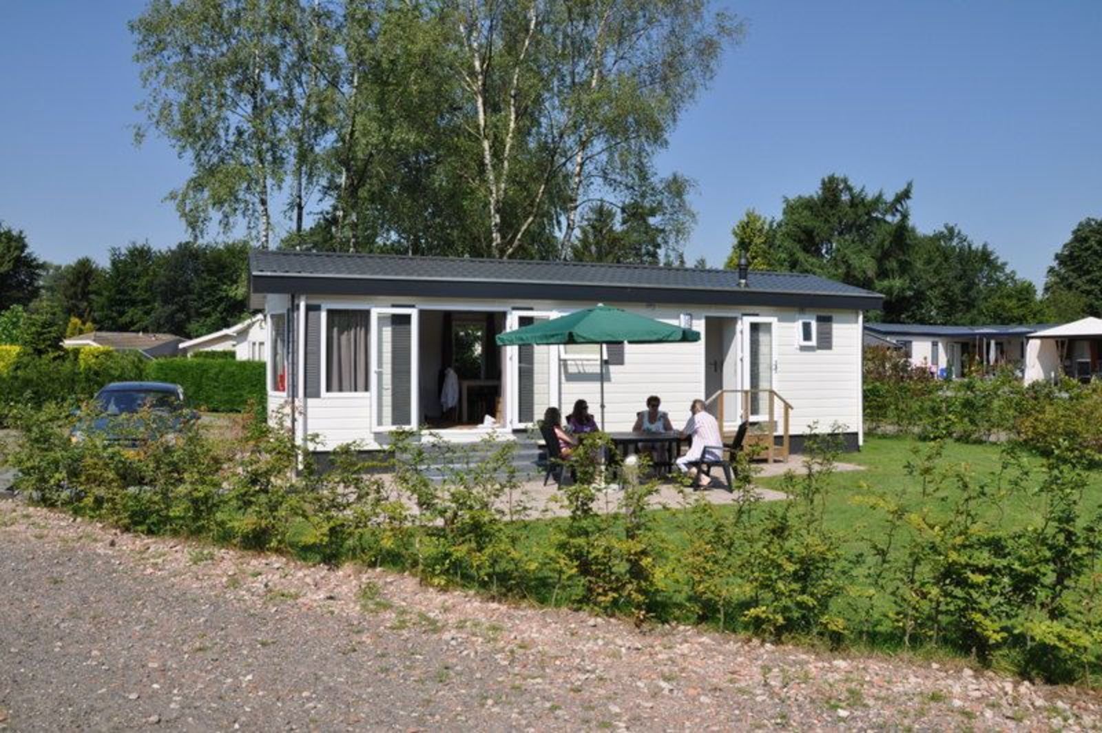 Goudvink 602