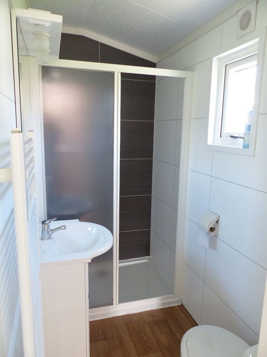 Goudvink 602