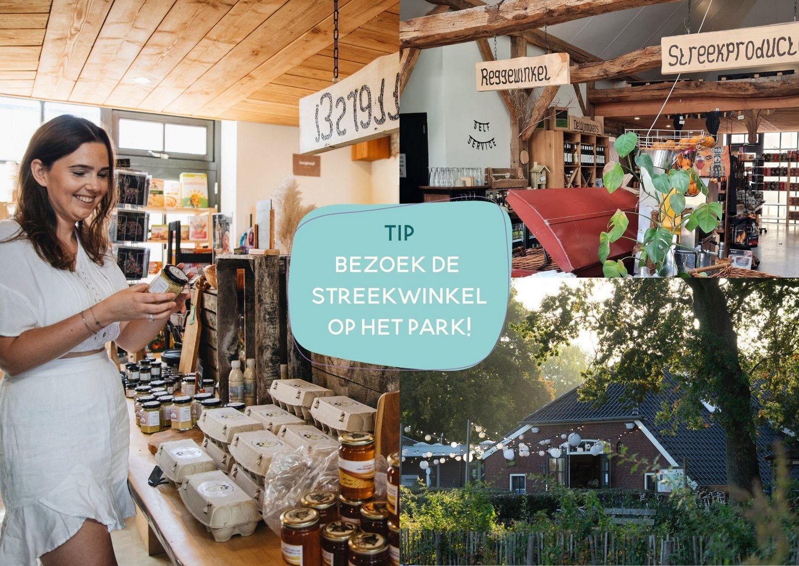 Pop-up glamping: Buurman's Awajitentje | 2-6 personen