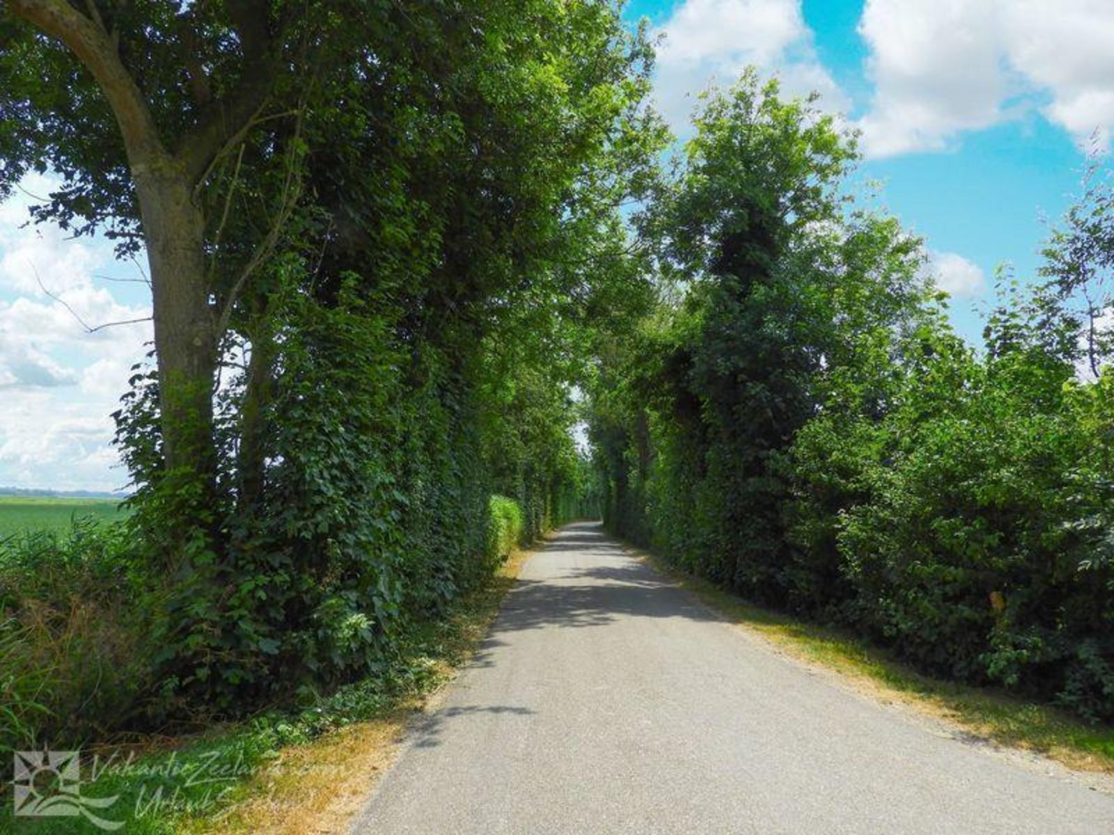 VZ042 Gruppenunterkunft Grijpskerke