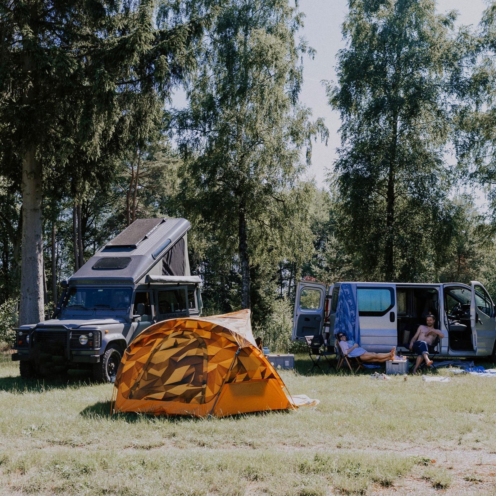 HEIDE // WILDE WIESE