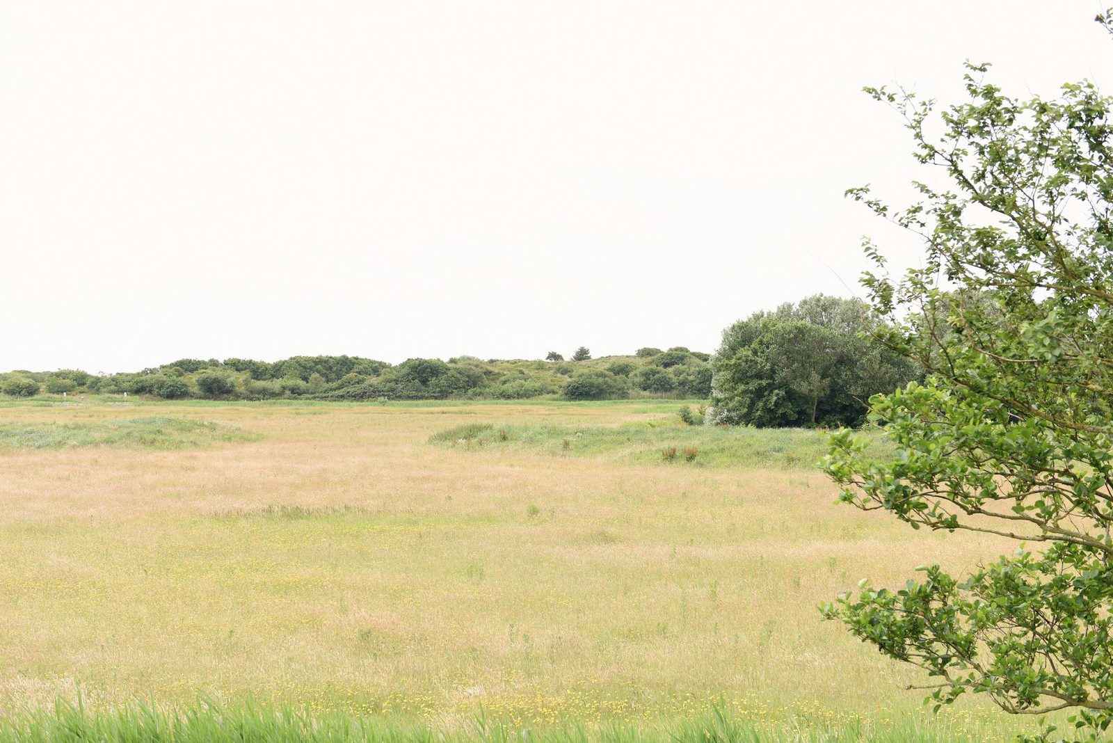 Hoeve Landzicht