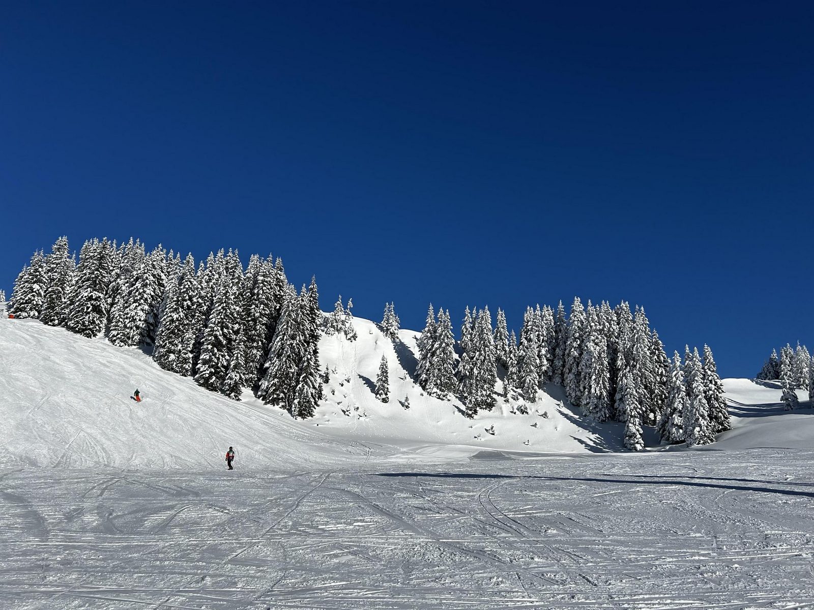 Genieten in Saalbach Top D1
