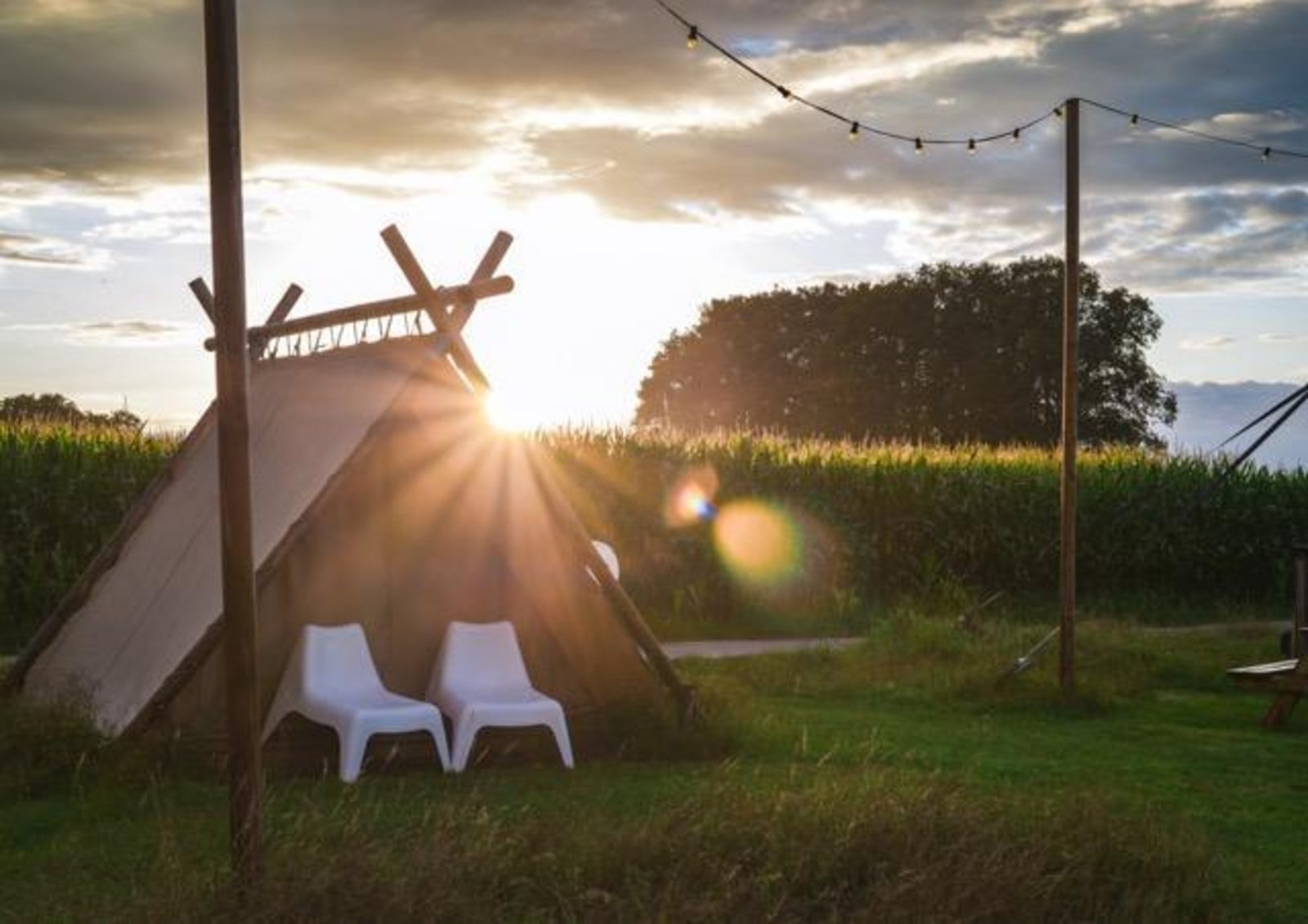 Panorama Lodge met privé sanitair | 7 personen