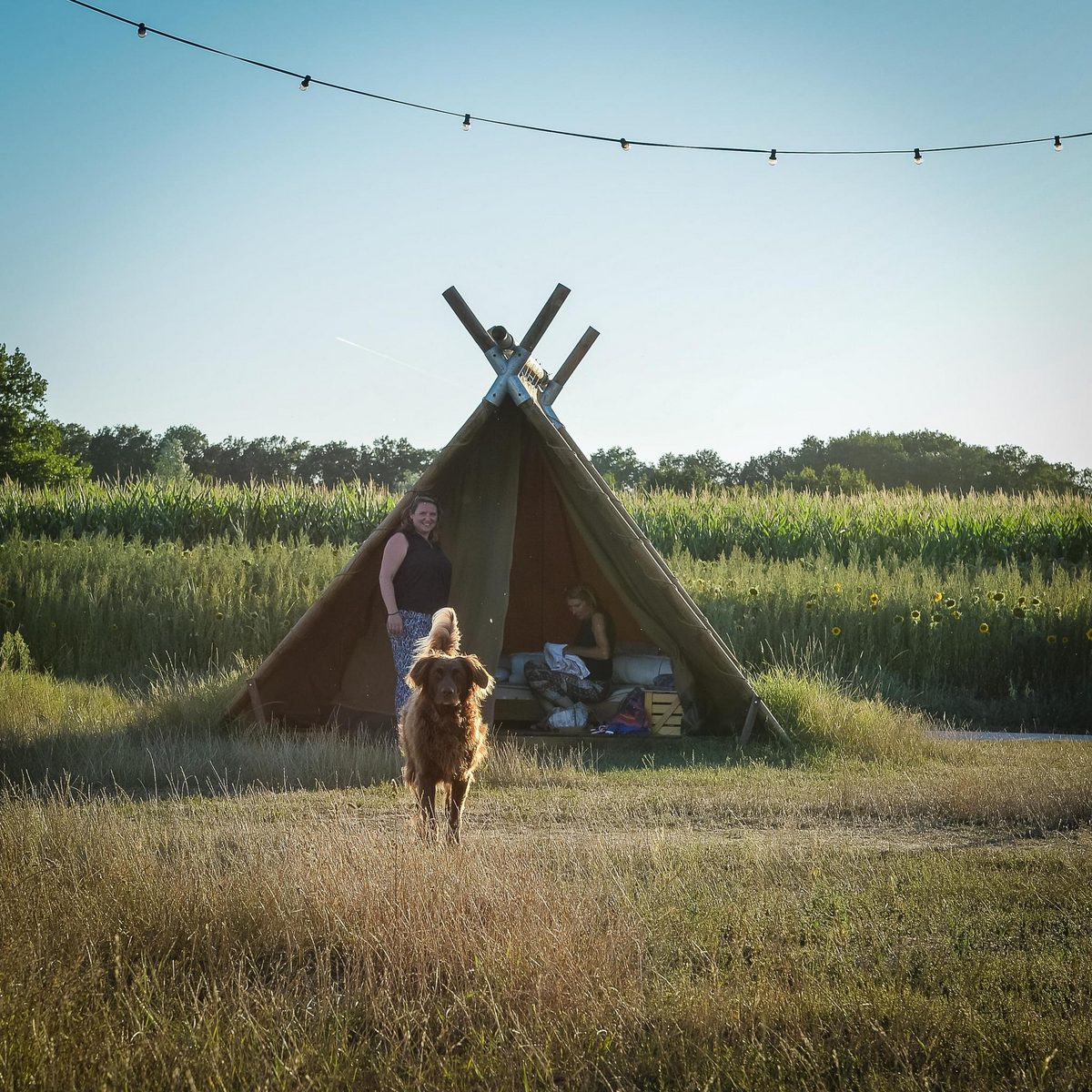 Safari tent with private bathroom | 7 people