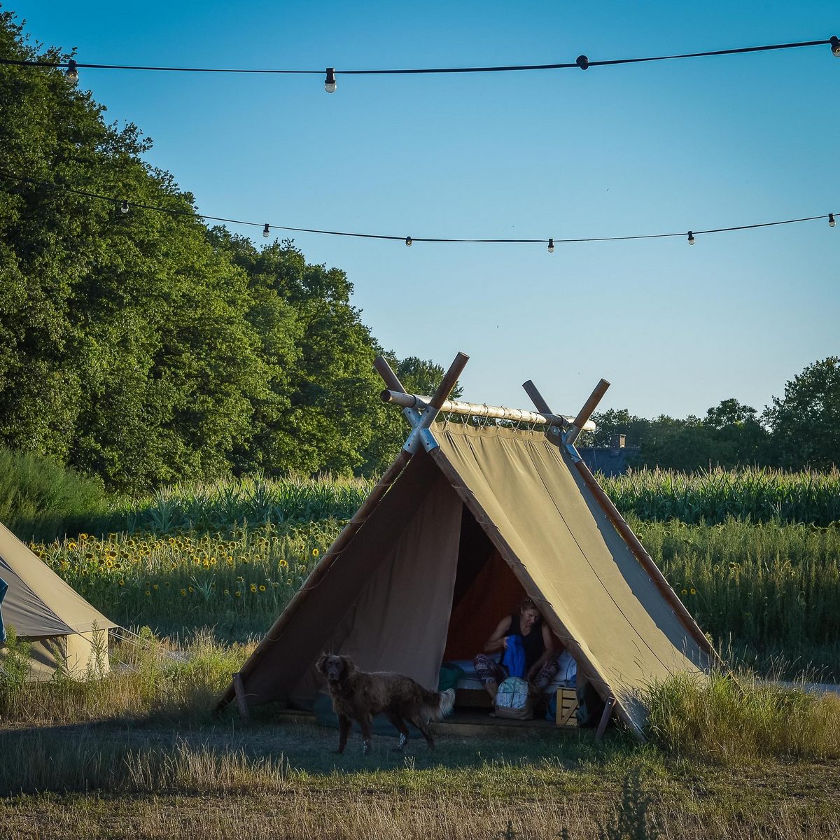 Groepsaccommodatie (6x luxe glampingtent) I 32 personen