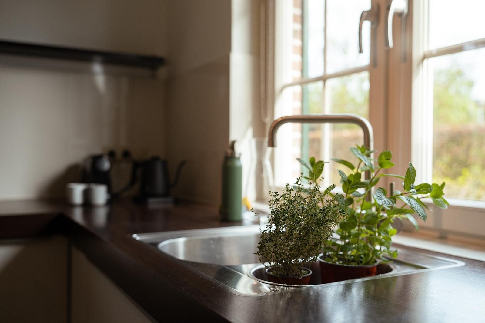 Villa de IJsvogel Sauna | 8 Pers.