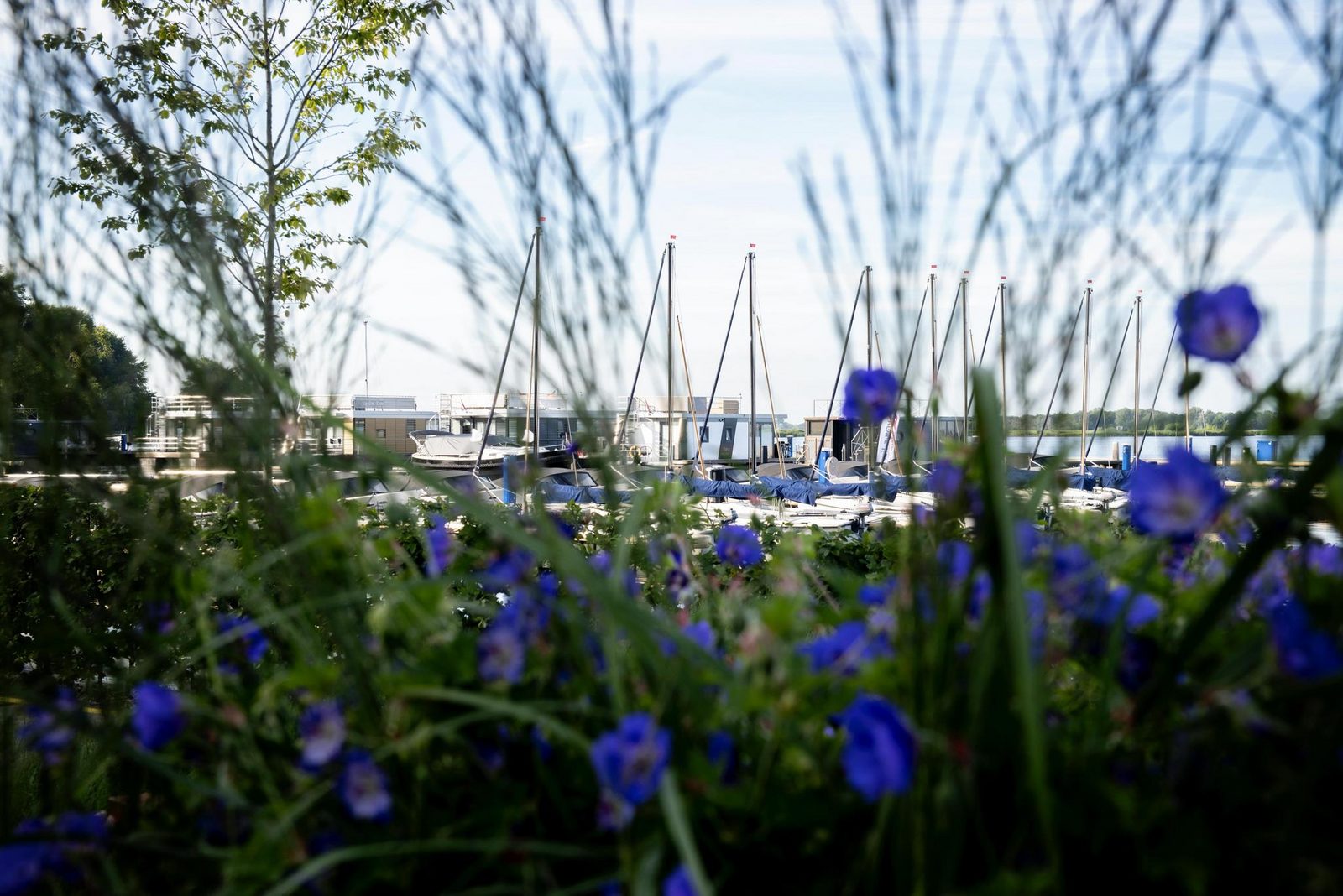 Appartement - Paviljoenwei 4-1 | Sneek (Offingawier) 'Havenzicht' 
