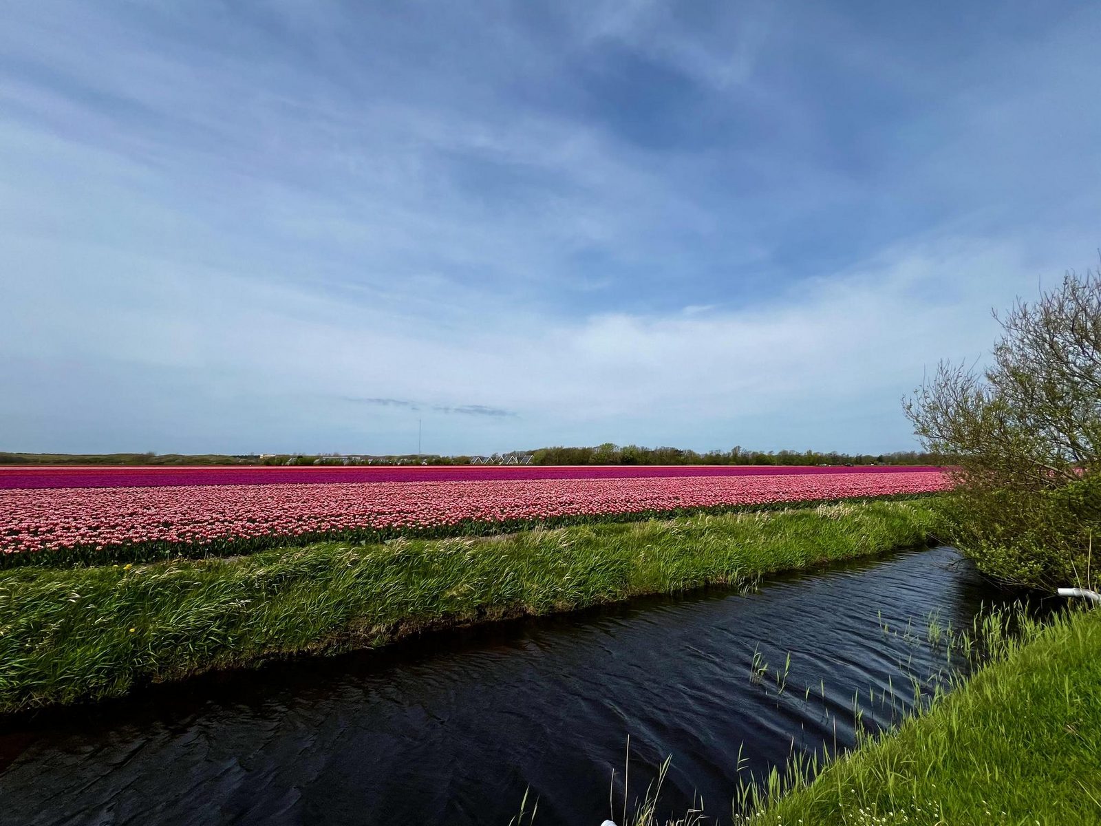 De Schelp 27