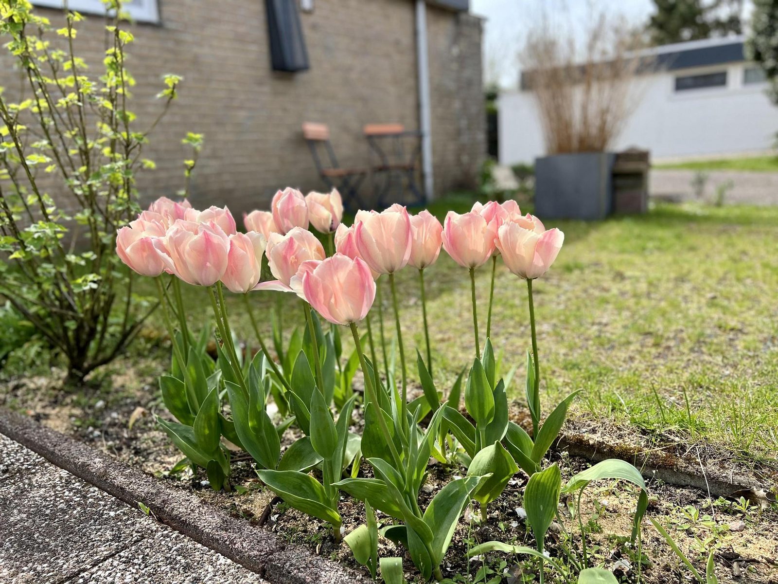 De Schelp 27