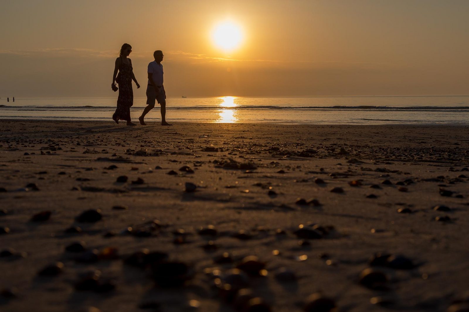 Strandschlafhaus  - Strand Dishoek 345/346 | Dishoek