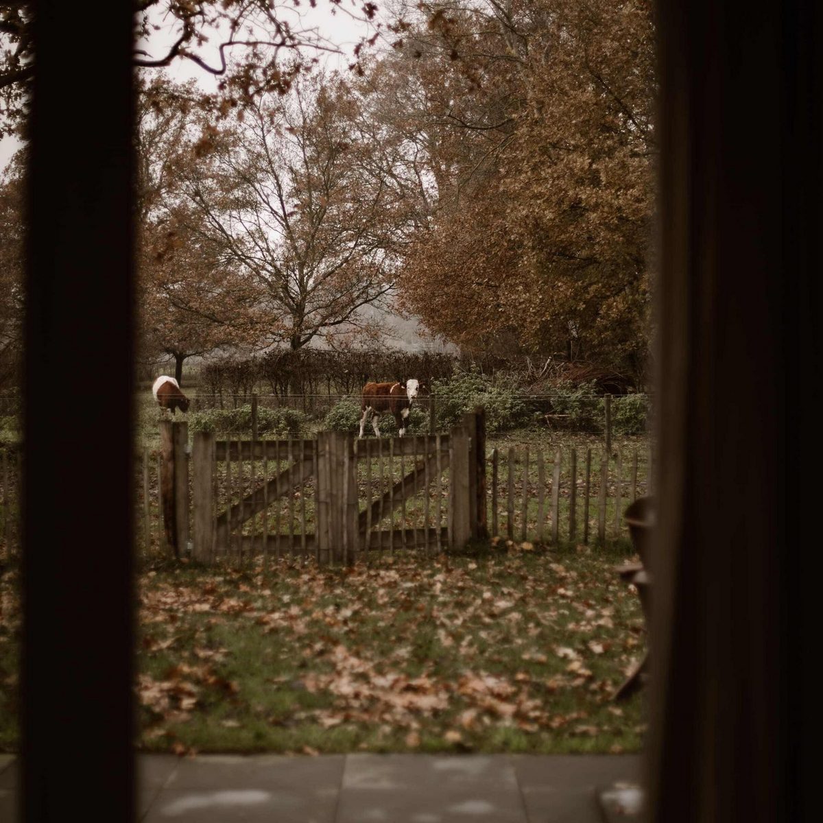 Sheep House | Hottub & Bad | 2-persoons vakantiehuis