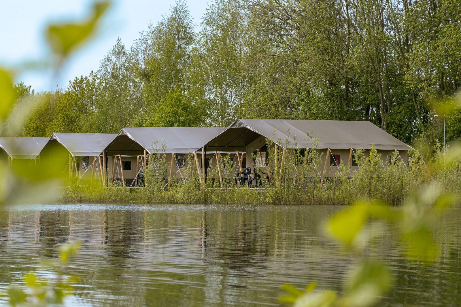 Safaritent | 6 Personen