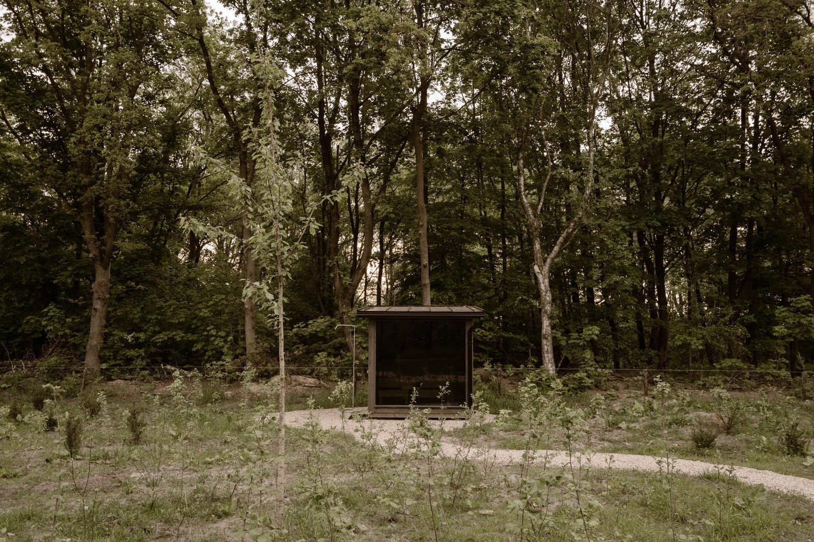 Pine House