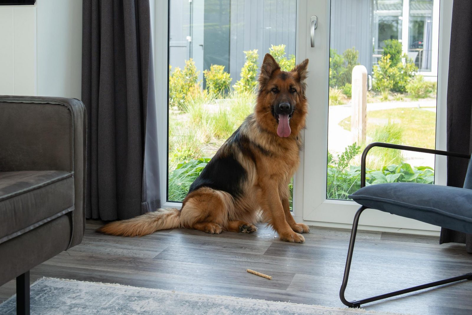 Premium Lodge I 6 personnes (60m²) - Chiens admis