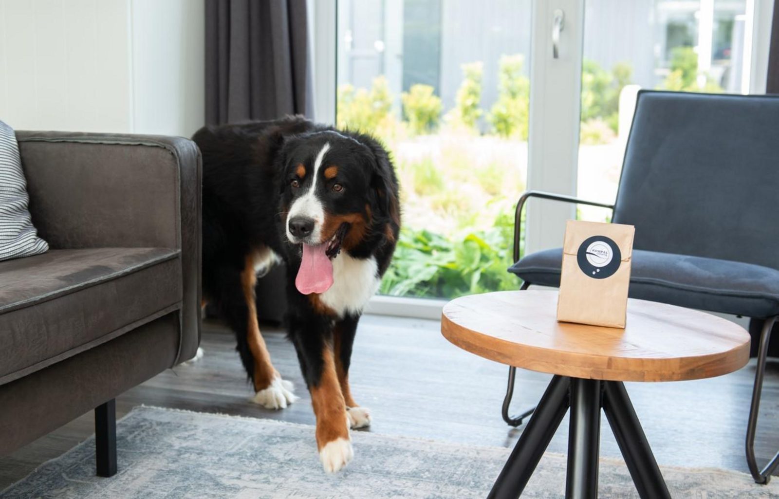 Premium Lodge I 6 personnes (60m²) - Avec air conditionné - Chiens admis