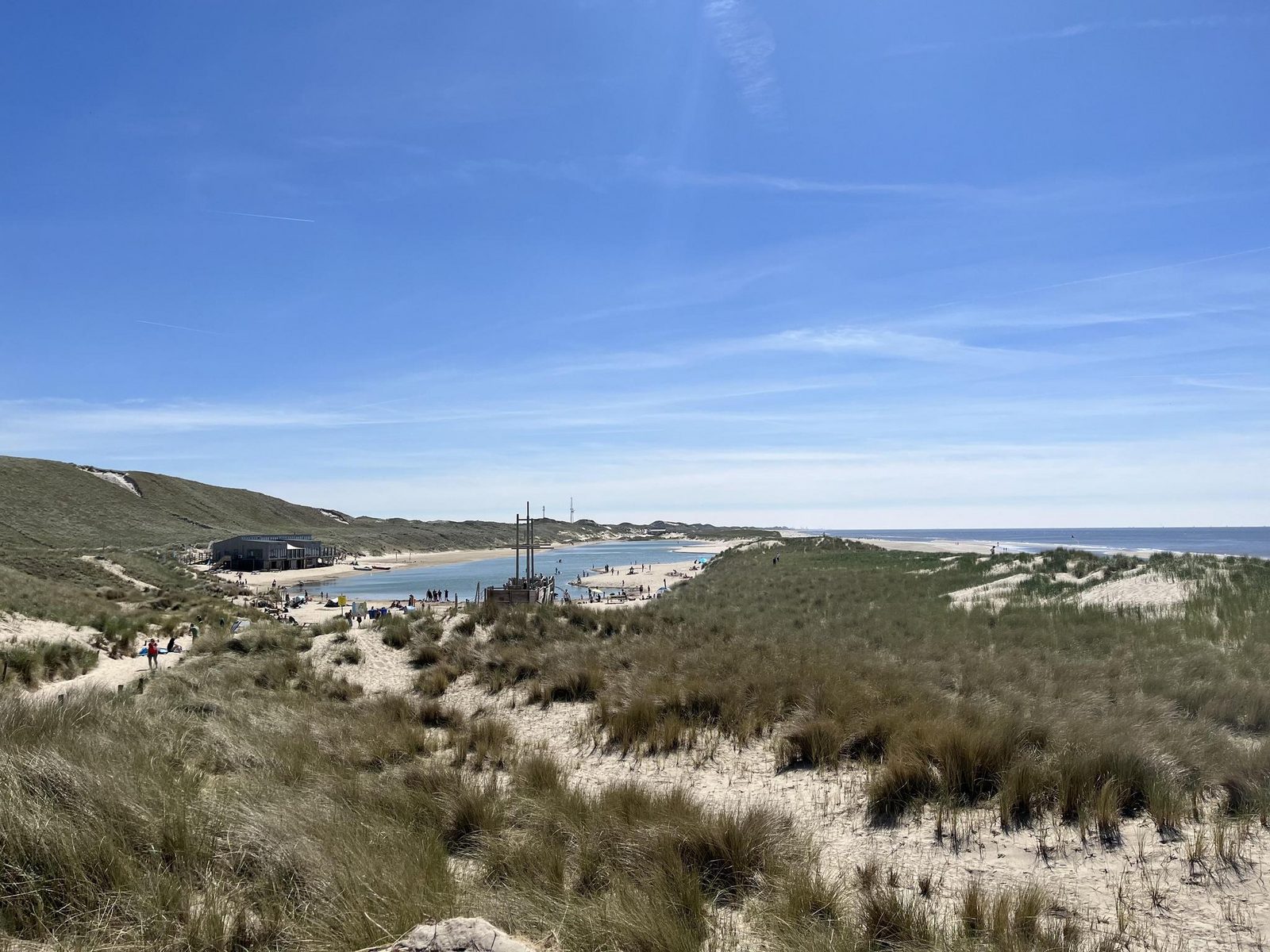 Duinbries