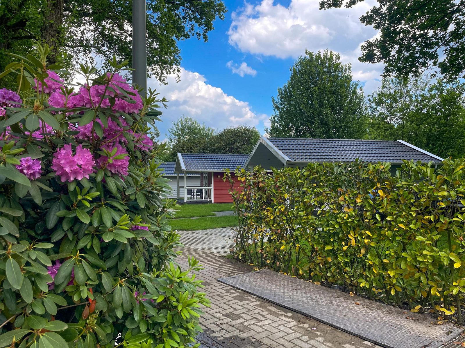 Ecovilla Boszicht | 6 personen 