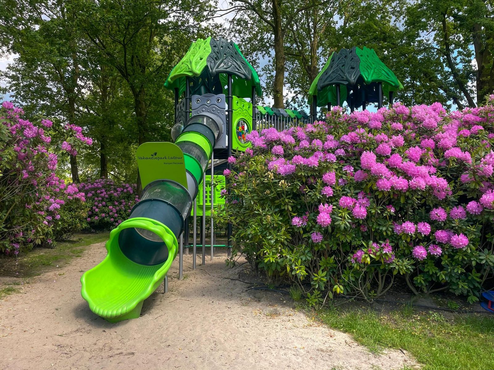 Ecovilla Boszicht | 6 personen 