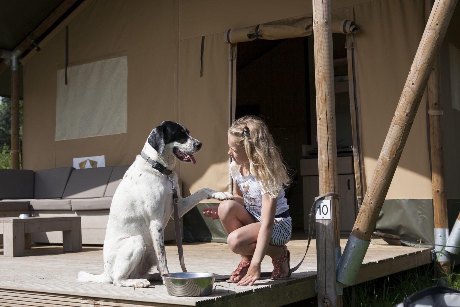 Luxe Safaritent | 6 personen