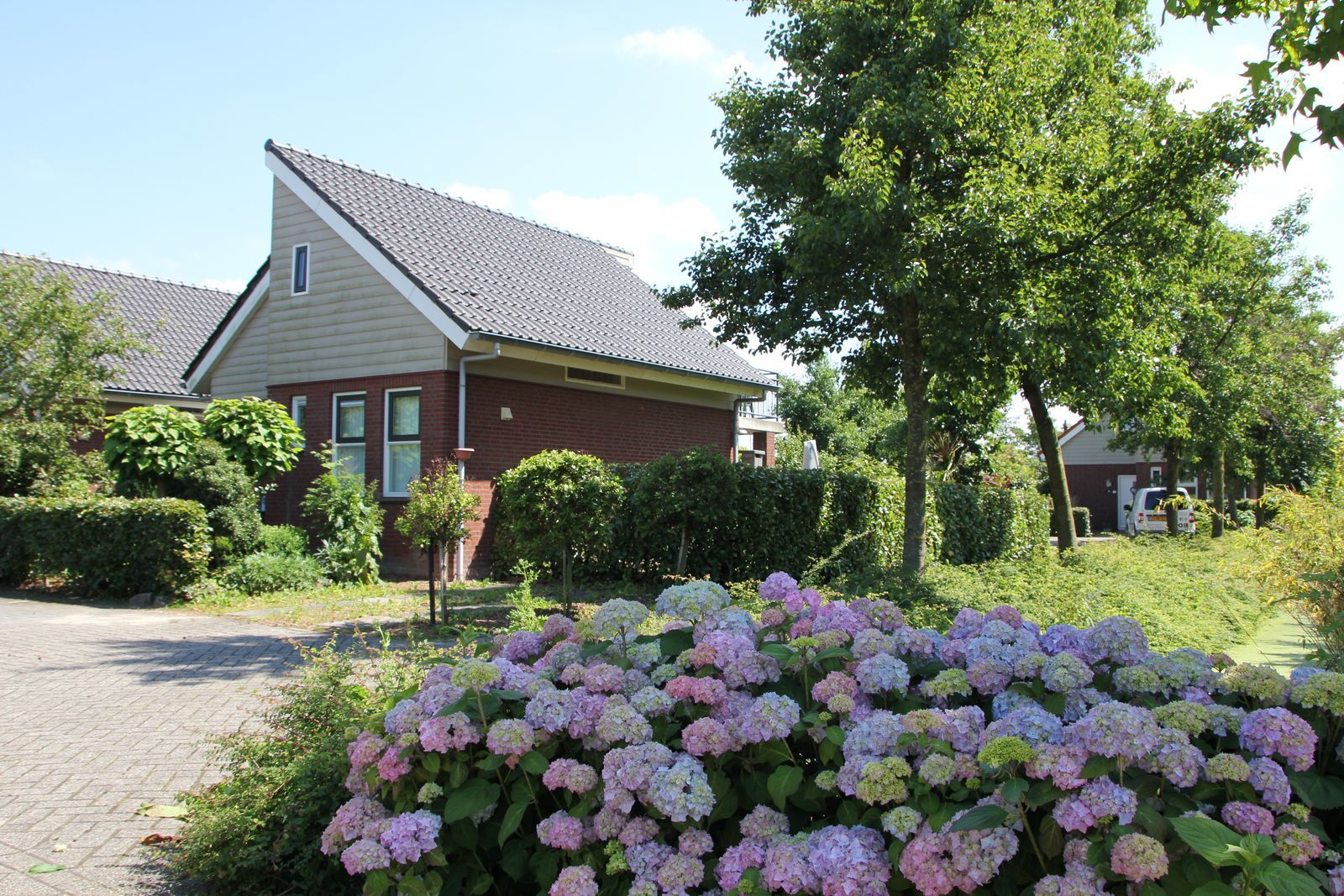 Vakantiehuis Wijde Aa 6 Modern