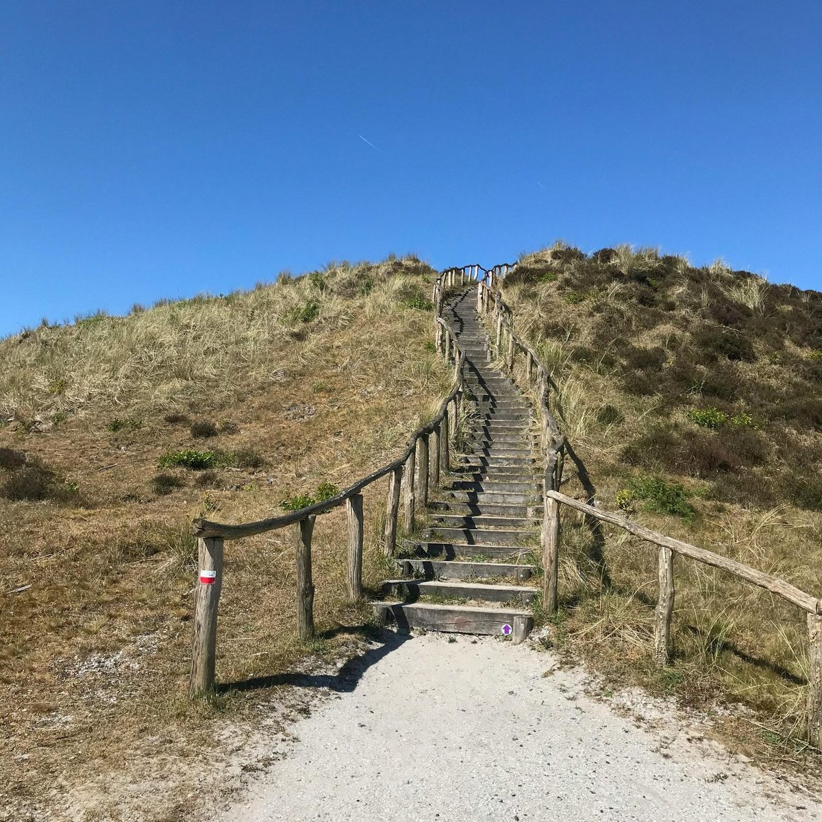 Duinlicht