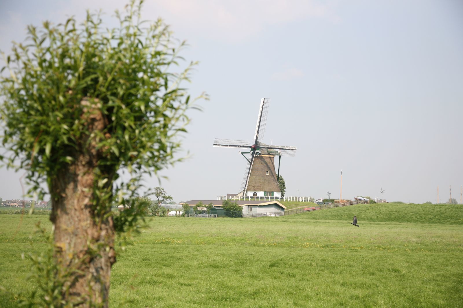 Vakantiehuis Polder 5 Licht