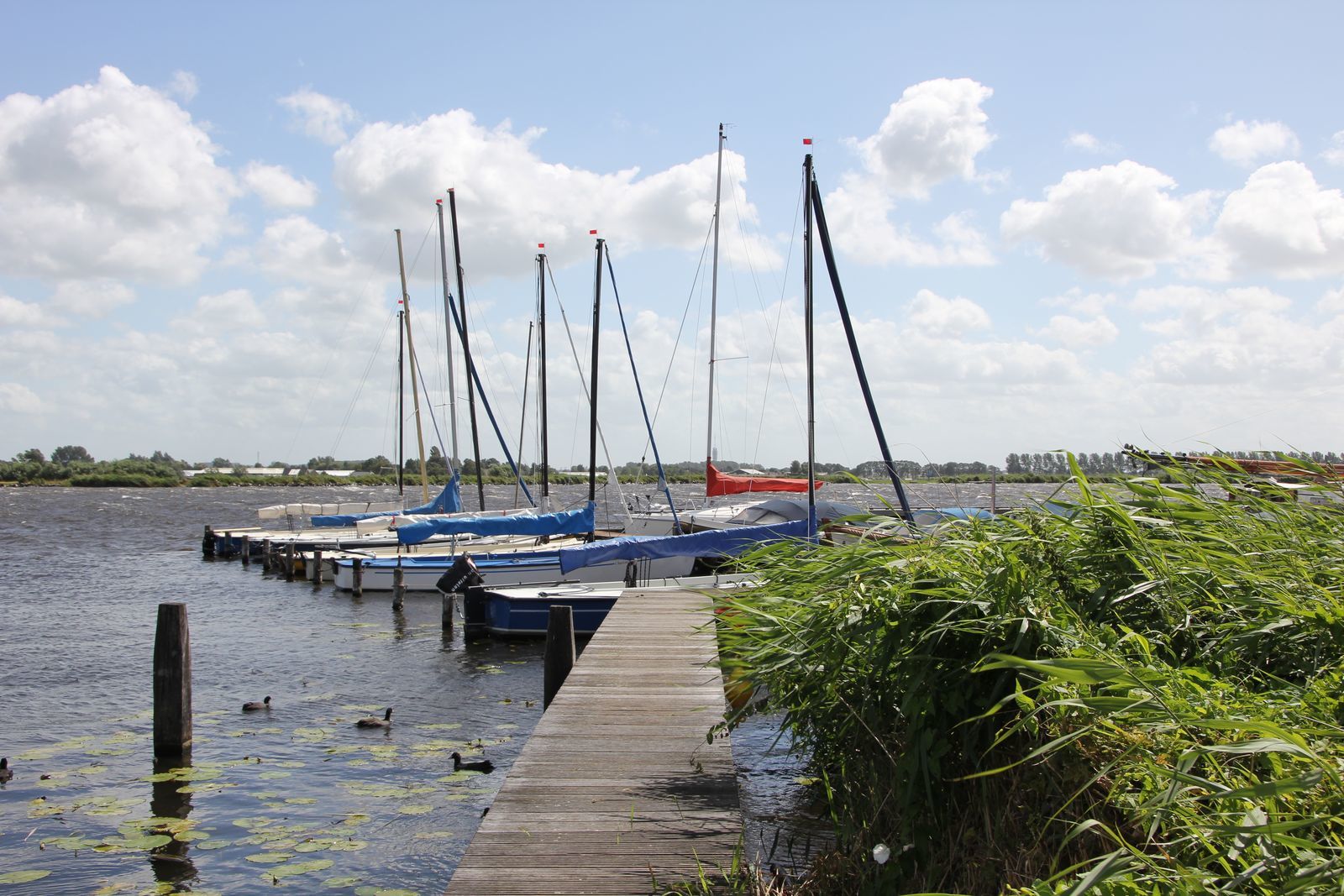 Vakantiehuis Wijde Aa 4