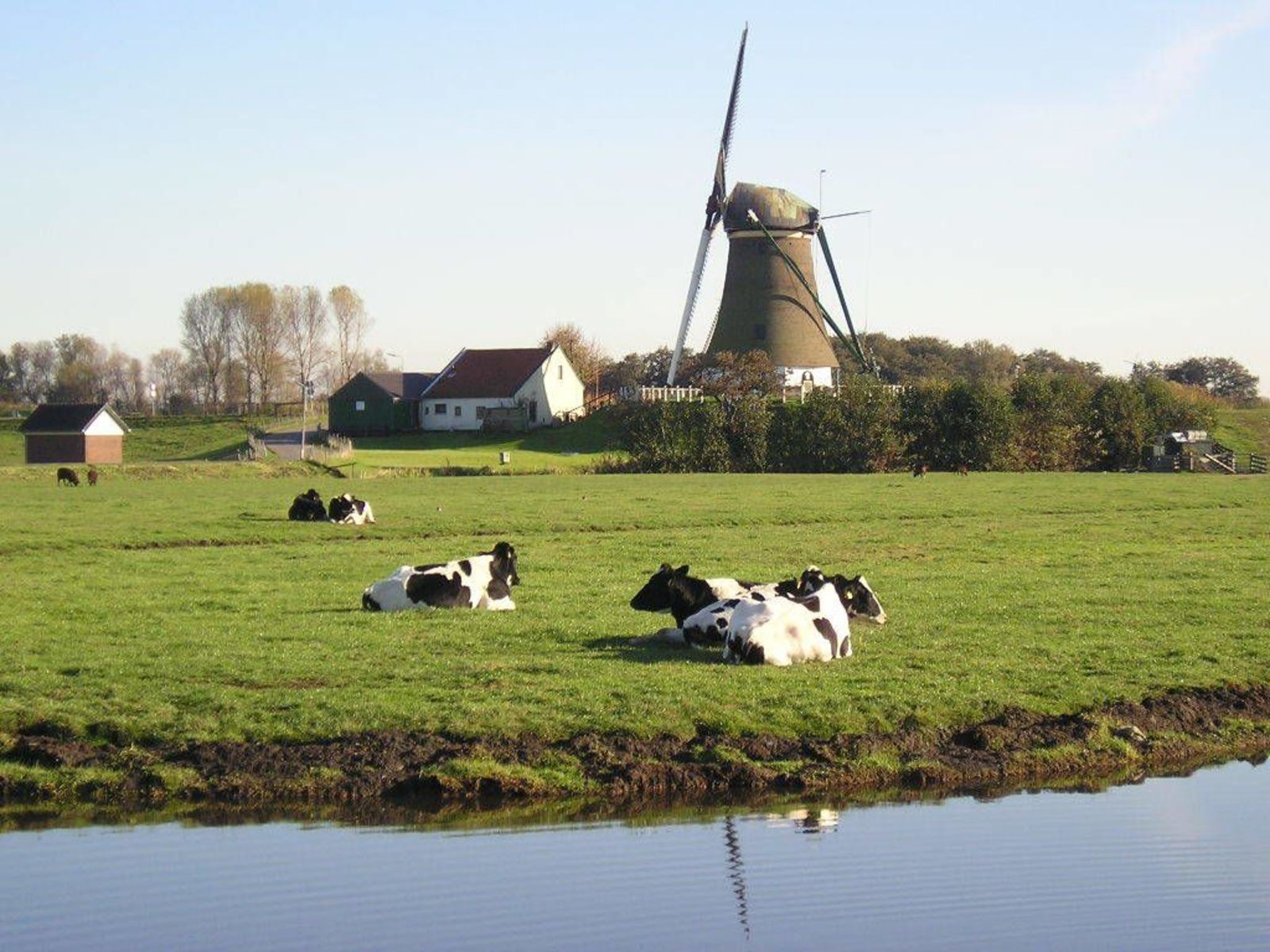 Vakantiehuis Wijde Aa 4