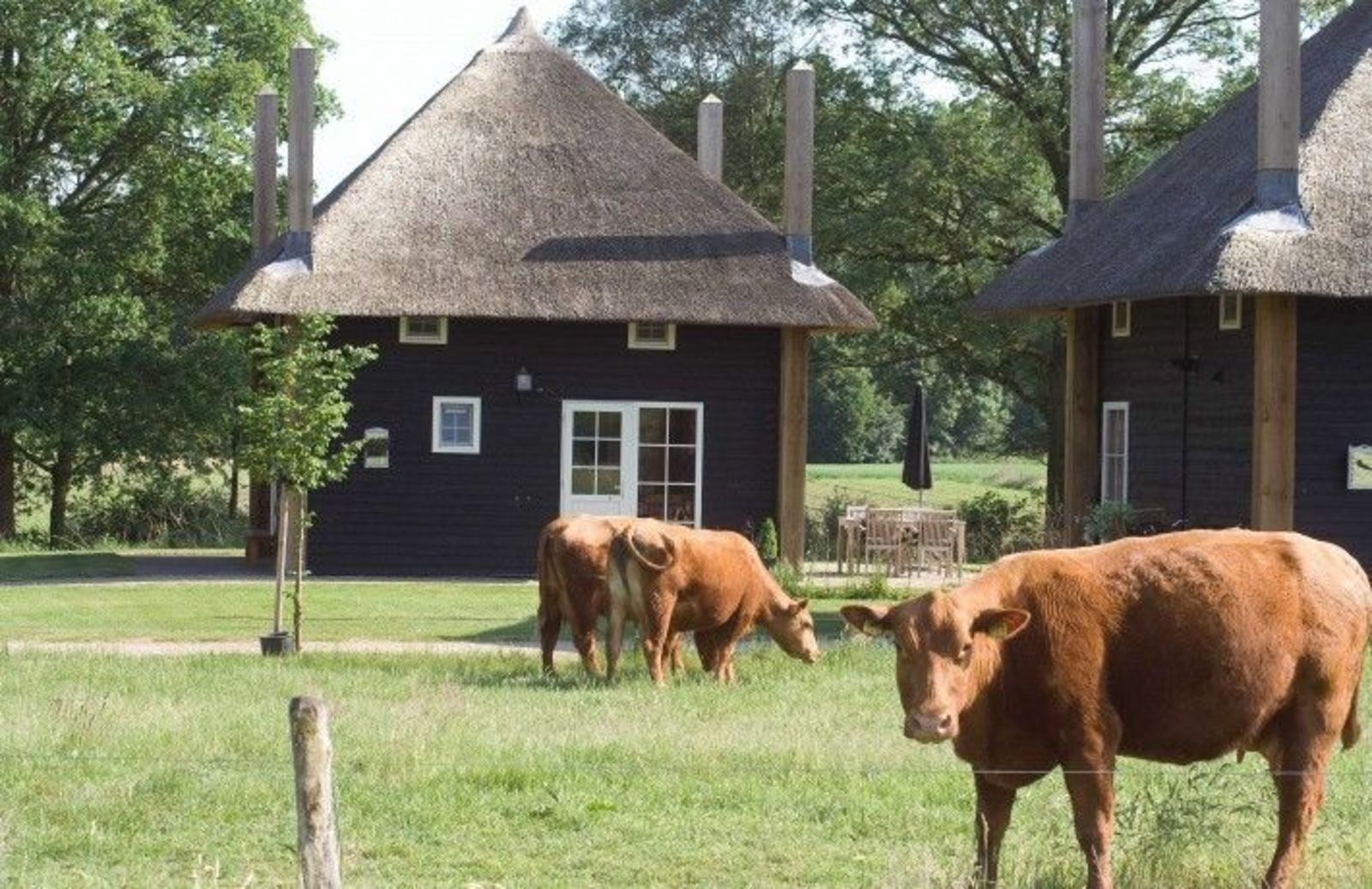 Reggehooiberg