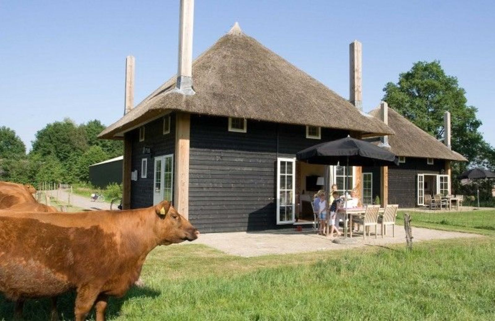 Reggehooiberg