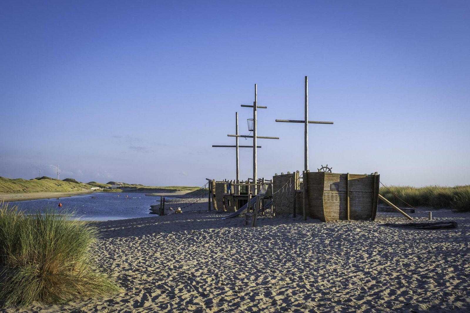 Duinroos