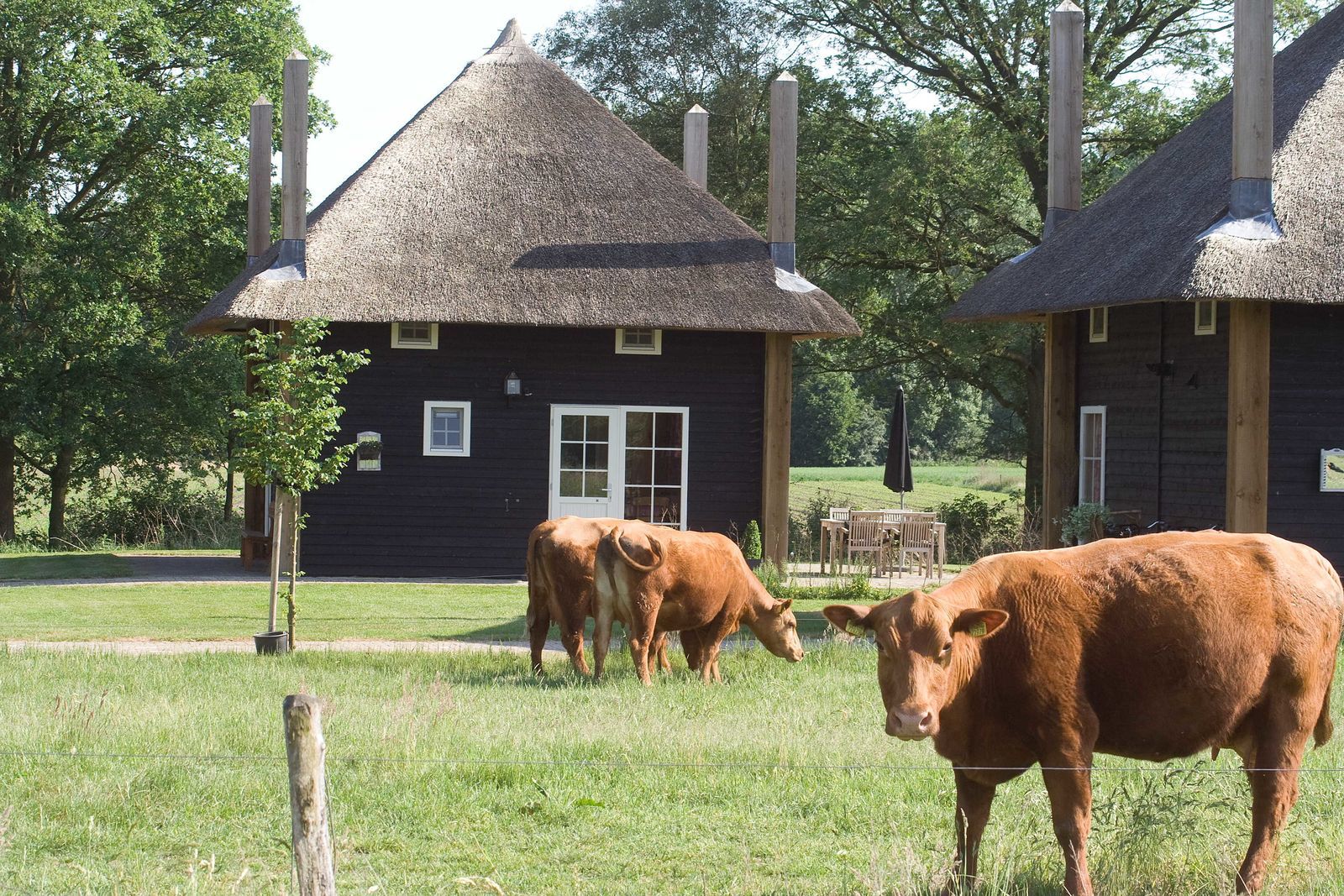 2 Reggehooiberg vakantiehuisjes