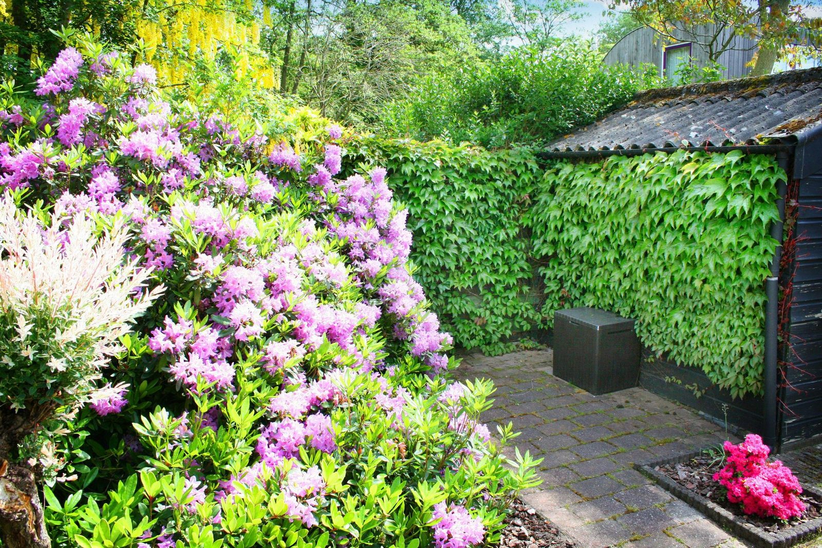 VZ1091 Ferienhaus in Oostkapelle
