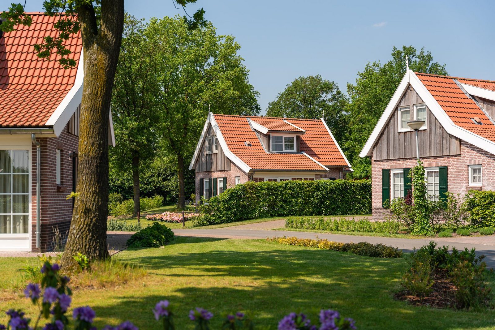 De Nagtegaal