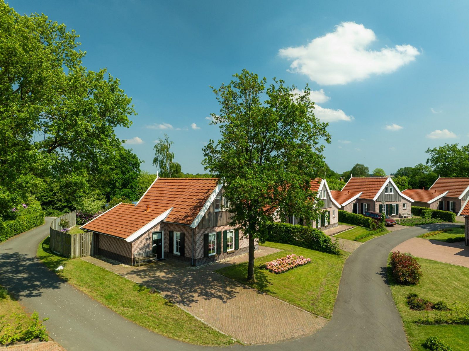 De Nagtegaal