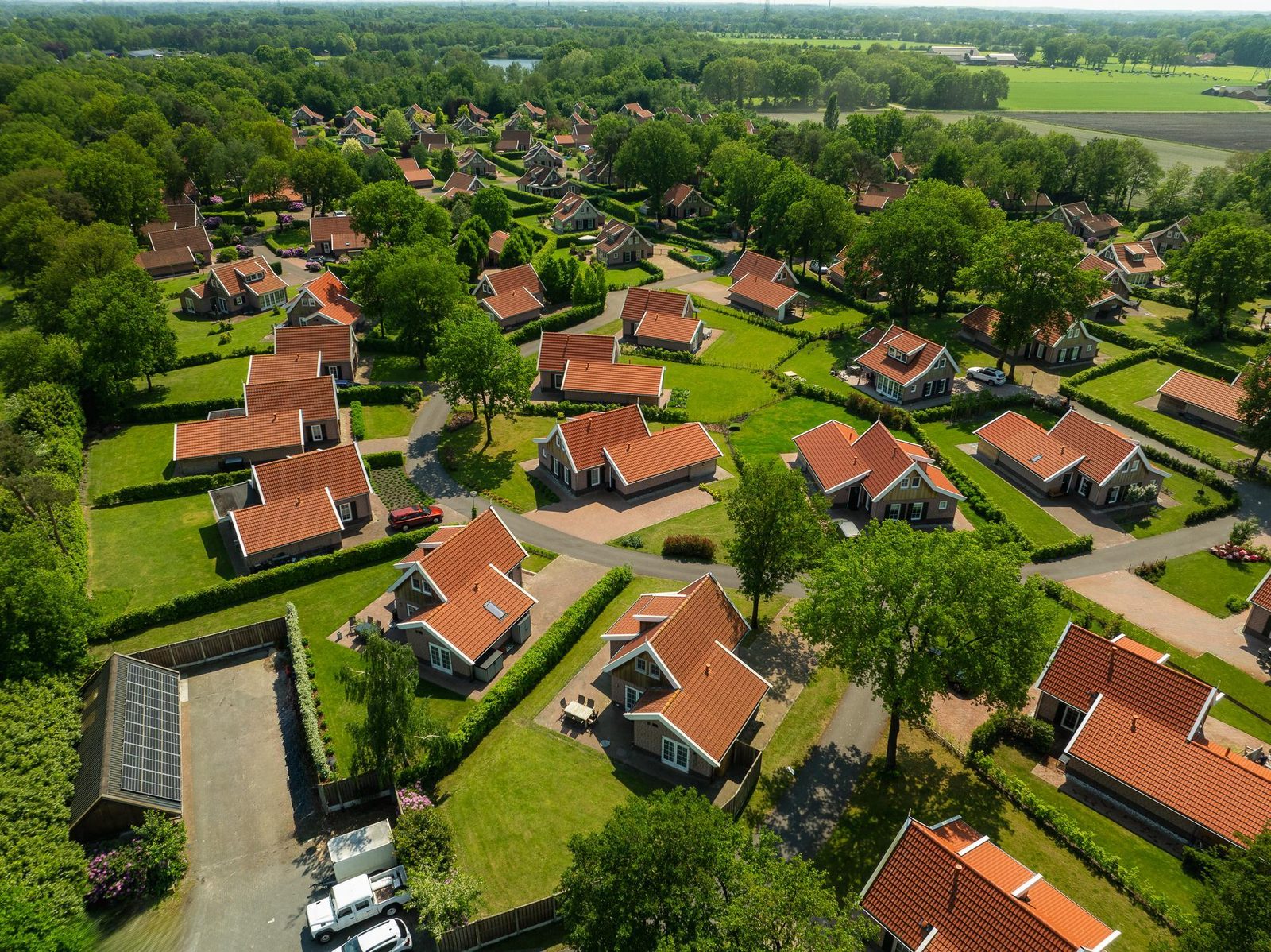 De Nagtegaal