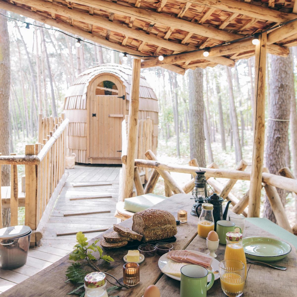 Tree House 3