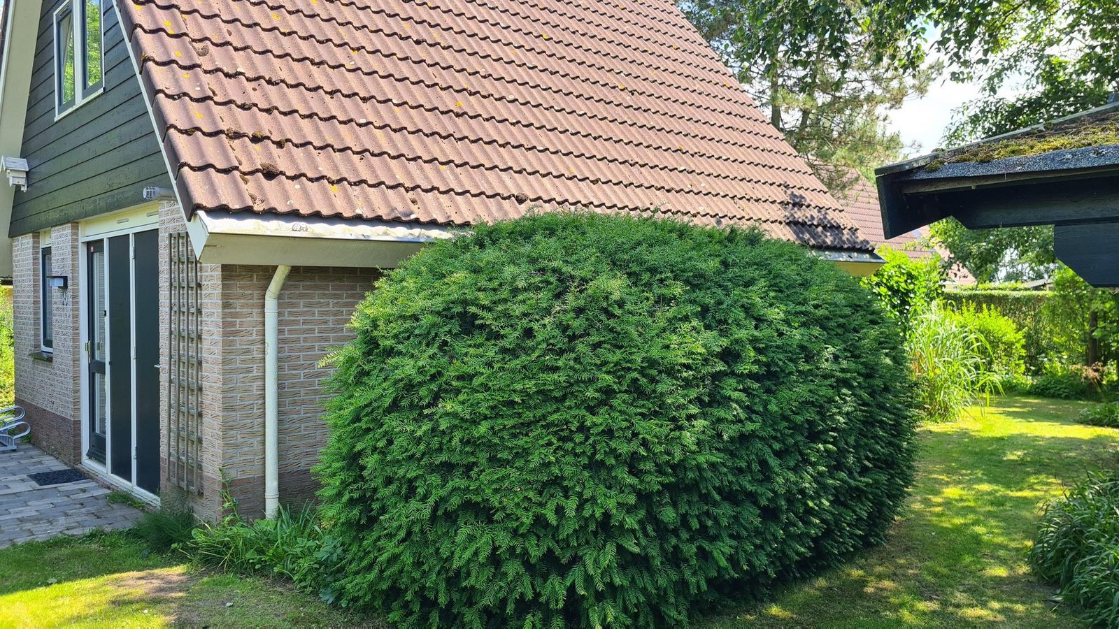 Bungalow 36