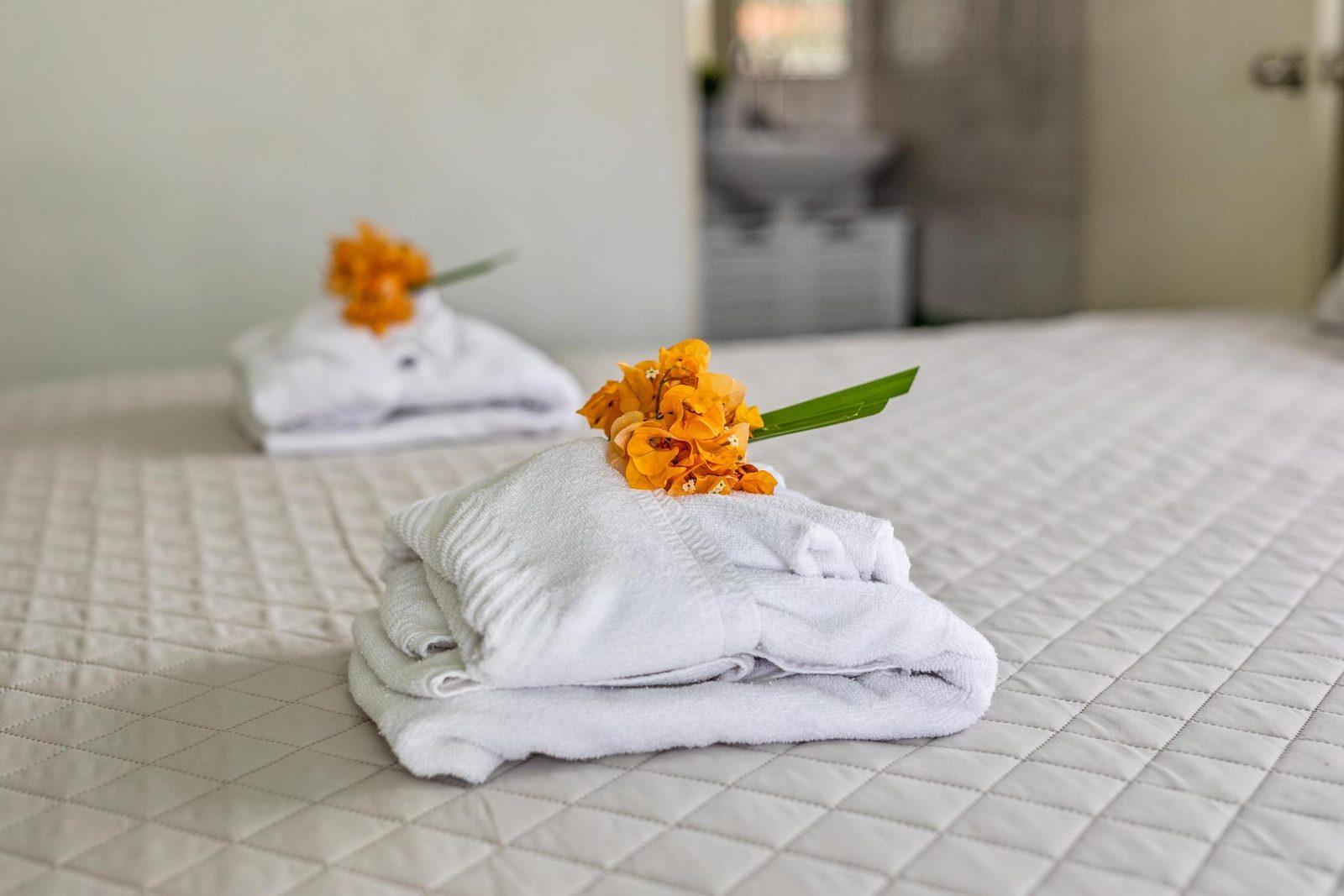 Lagoon Ocean Resort: Type C