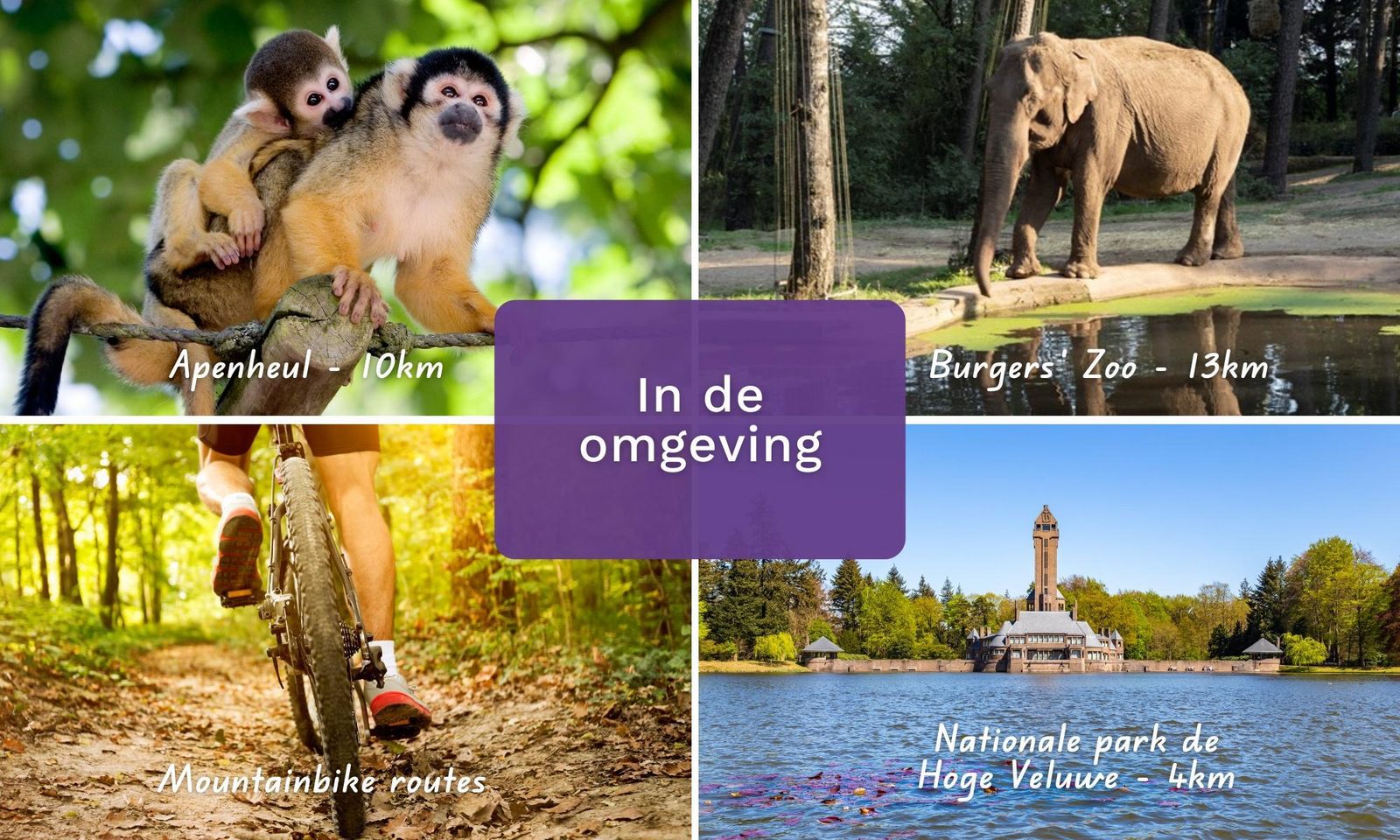 Vakantiewoning Hertenhoeve comfort | 6 persoons
