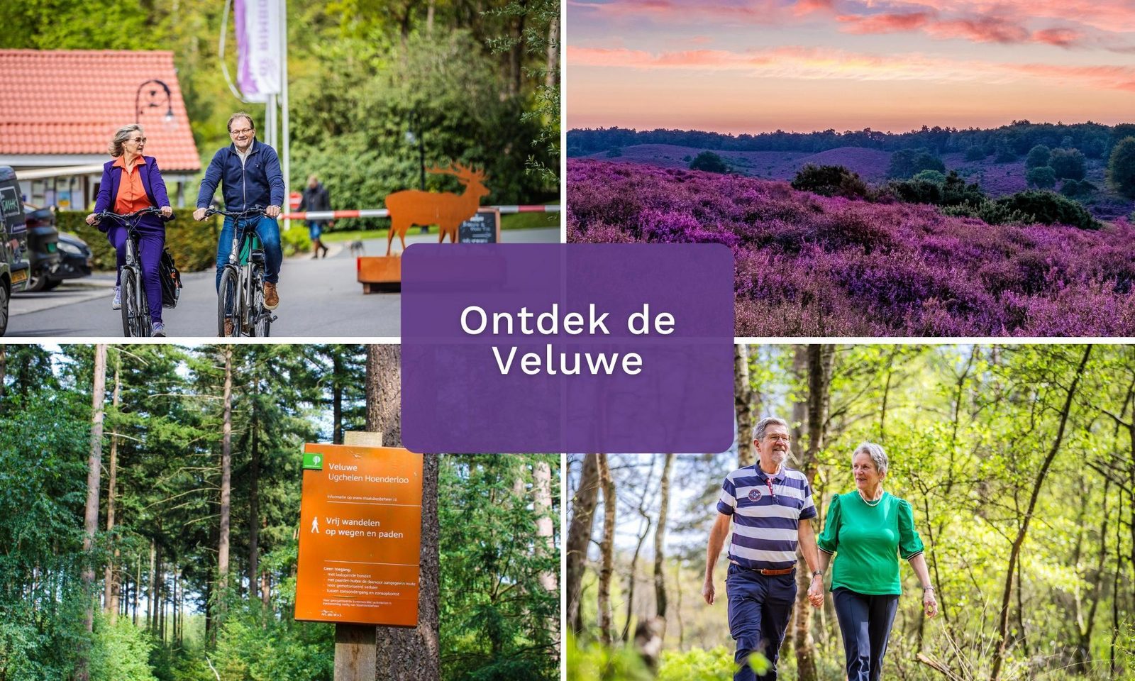 Vakantiewoning Heidehoeve comfort | 6 persoons