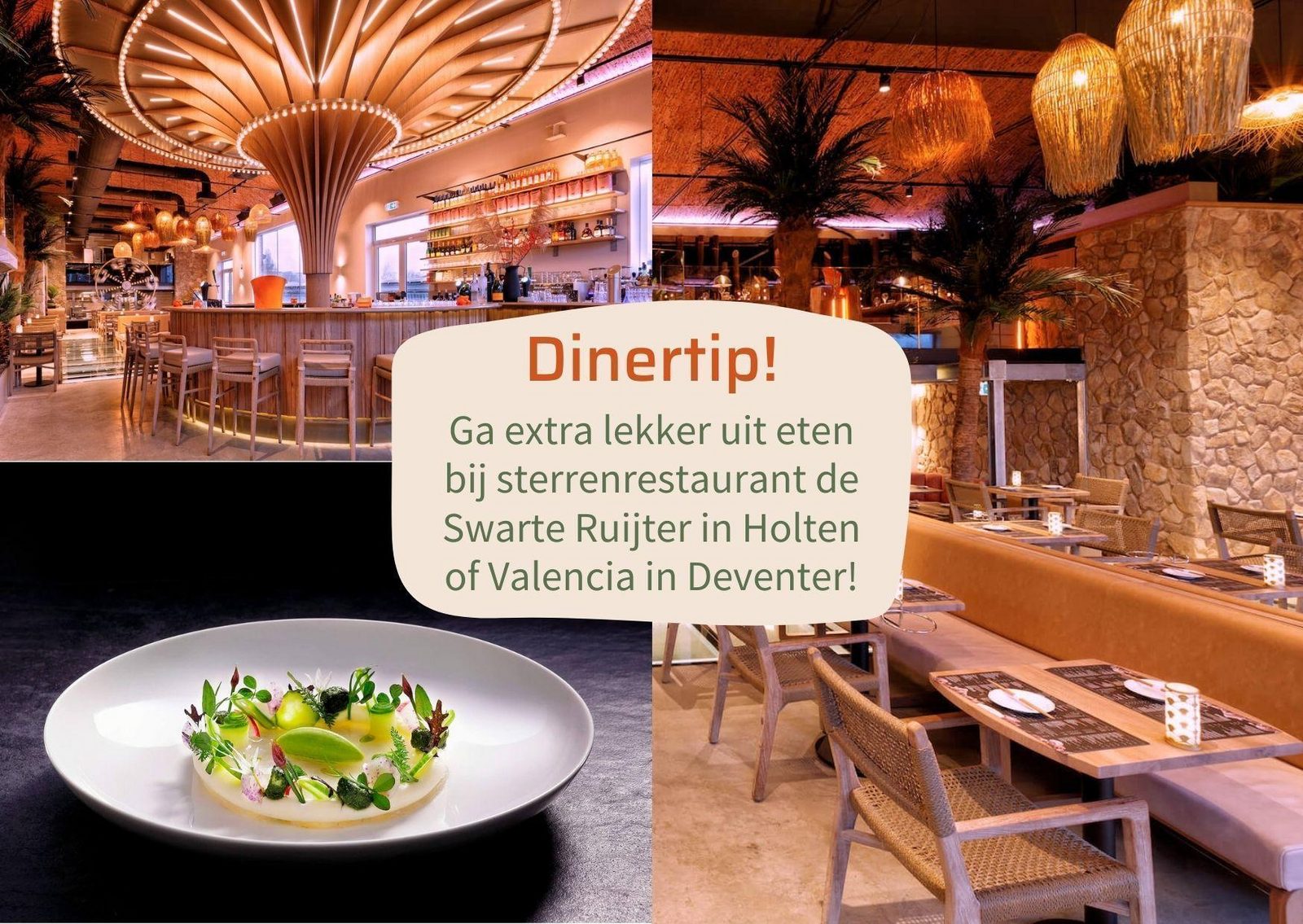 Wellnesslodge | jacuzzi, sauna en sunshower | 2 personen