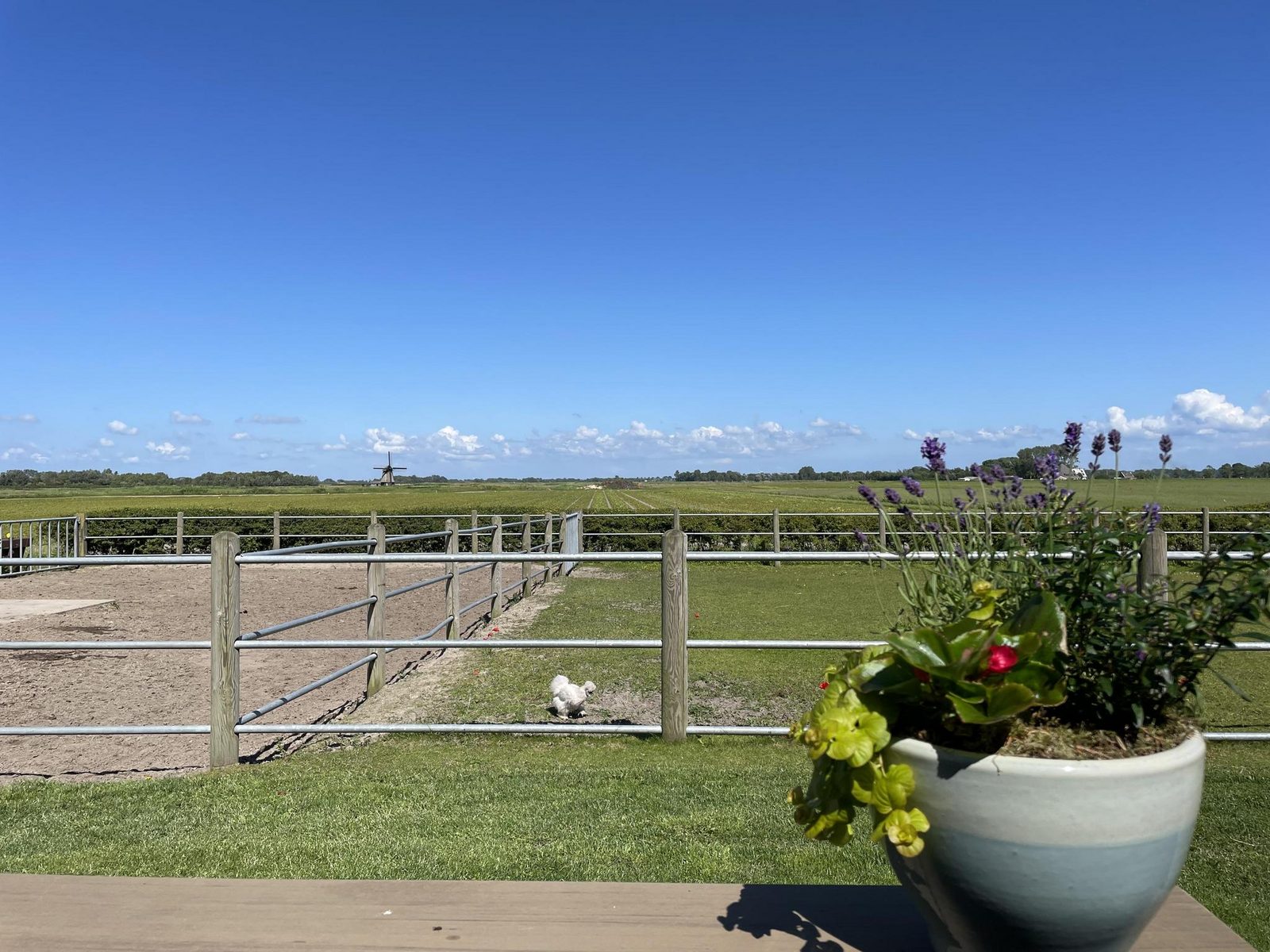 De Tuinkamer van Egmond