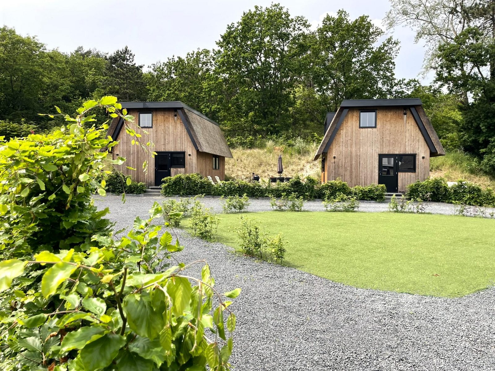 6-persoons Duinlodge Bosrand met Laadpaal