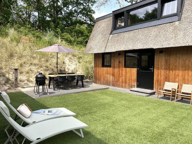 6-persoons Duinlodge Bosrand met Laadpaal