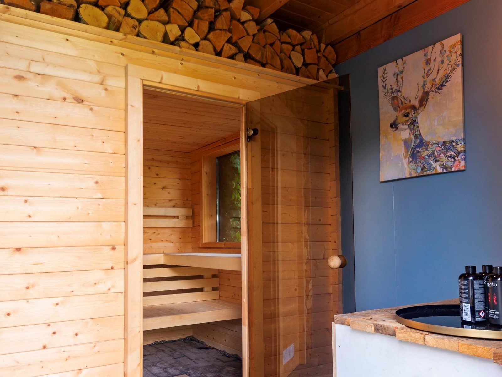 Watervilla Plas van Francke